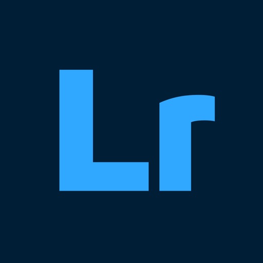 Logo Preset Lightroom